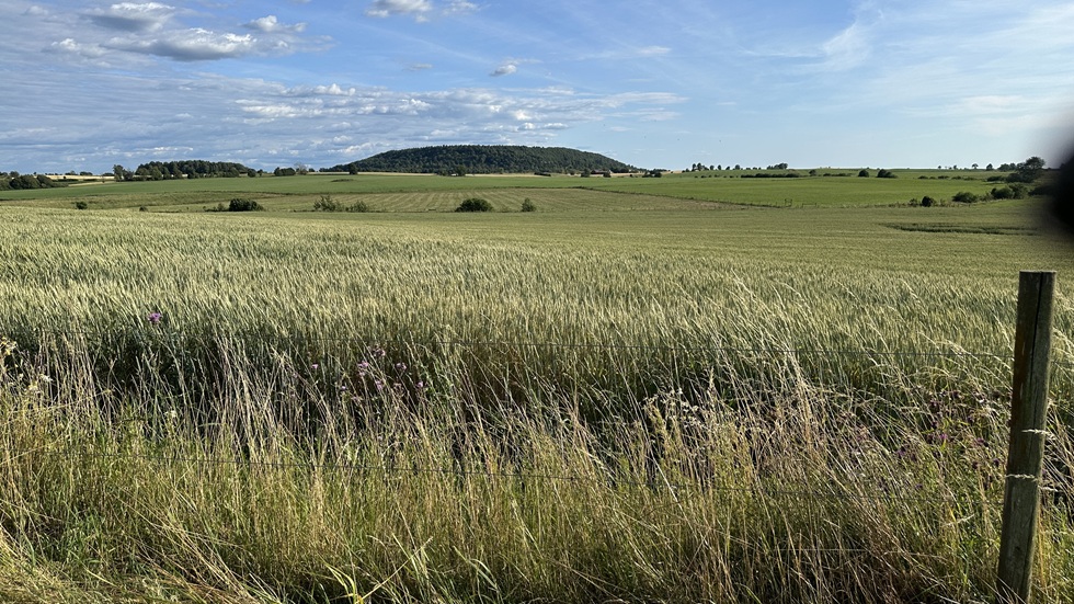 Ålleberg